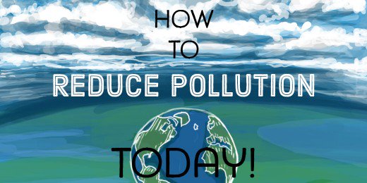 Write an essay about water pollution using cause and effect order