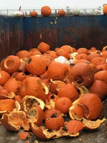 pumpkin-smash-compost