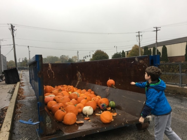 pumpkin-smash-compost
