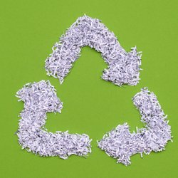 How To Recycle Shredded Paper At Scarce Canceled Scarce