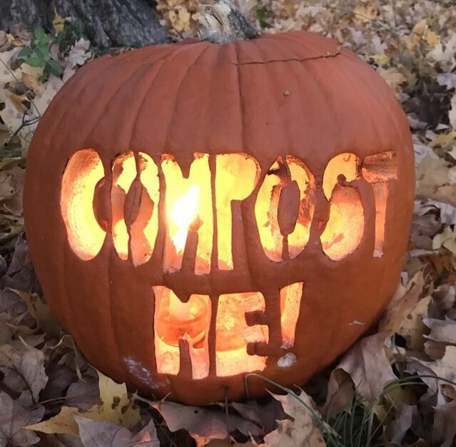 Don't trash Your Halloween pumpkins! Must-know tips on eco-friendly disposal
